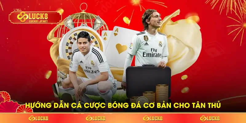 Hướng dẫn cá cược bóng đá cơ bản cho tân thủ